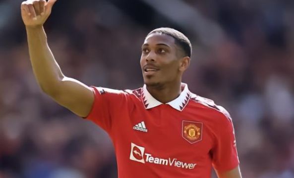 的杀手本能 的杀手本能